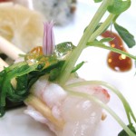 Spot prawn