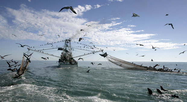 What are some of the problems with overfishing?