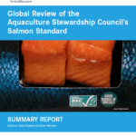 Global ASC review summary report