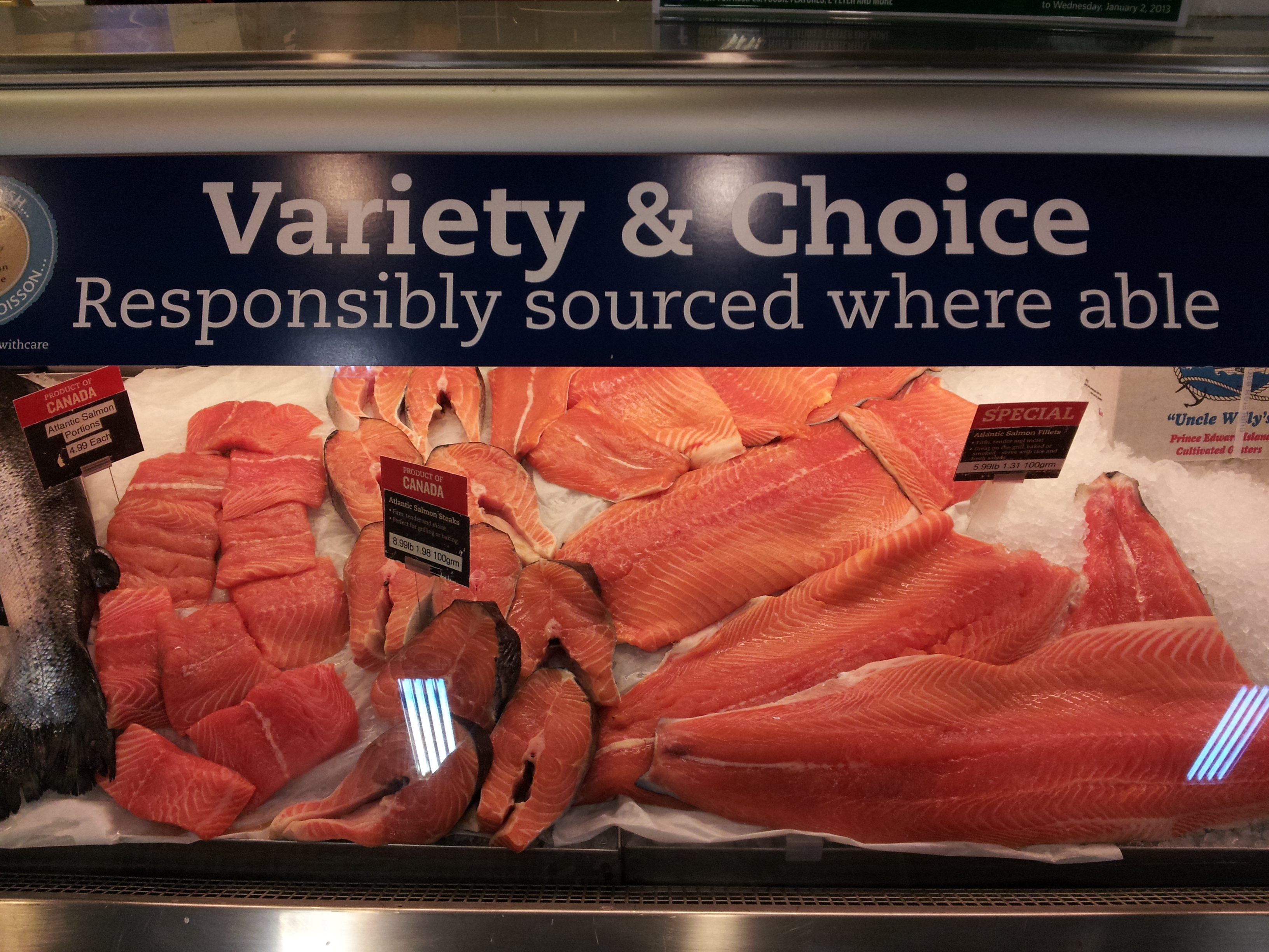 SeaChoice transitions to hold seafood supply chain more accountable