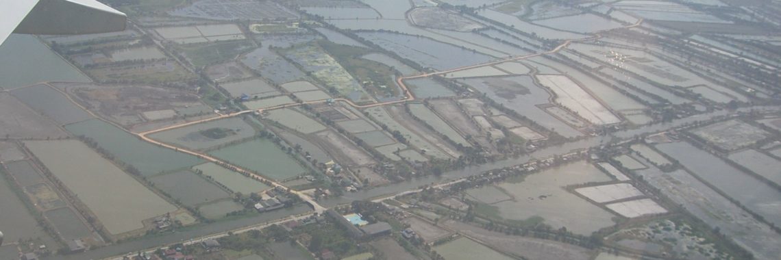 Photo: Sergey, Shrimp aquaculture in Thailand