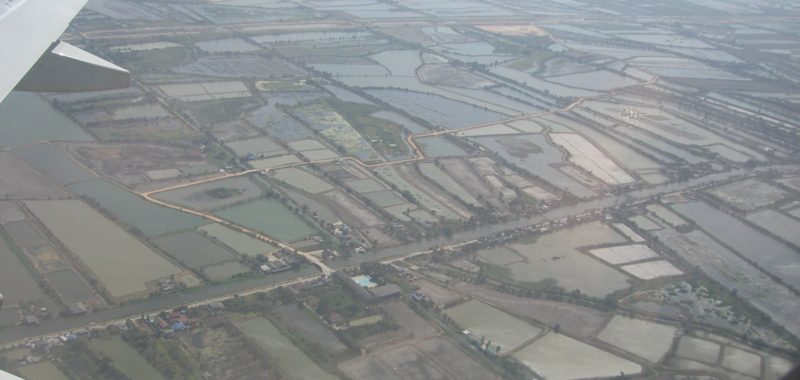 Photo: Sergey, Shrimp aquaculture in Thailand