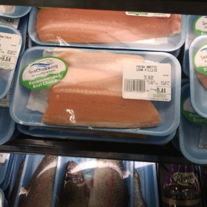 recommended species arctic char