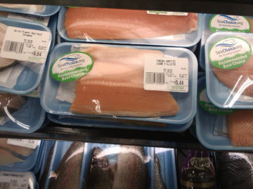 recommended species arctic char