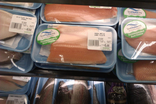 recommended species arctic char