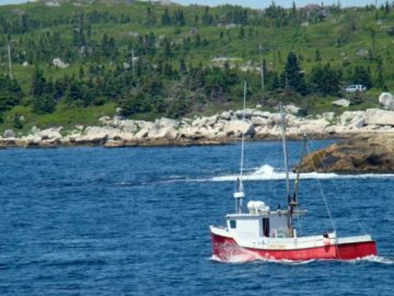 Photo: Colleen Turlo, Small scale Fishing boat