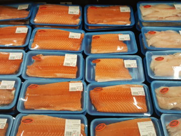 Atlantic salmon in trays