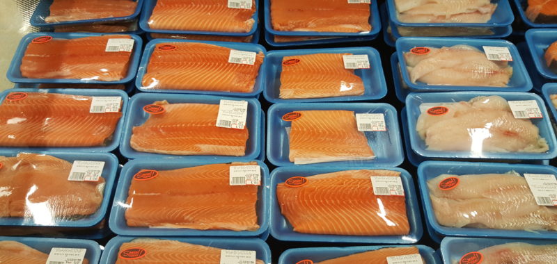 Atlantic salmon in trays