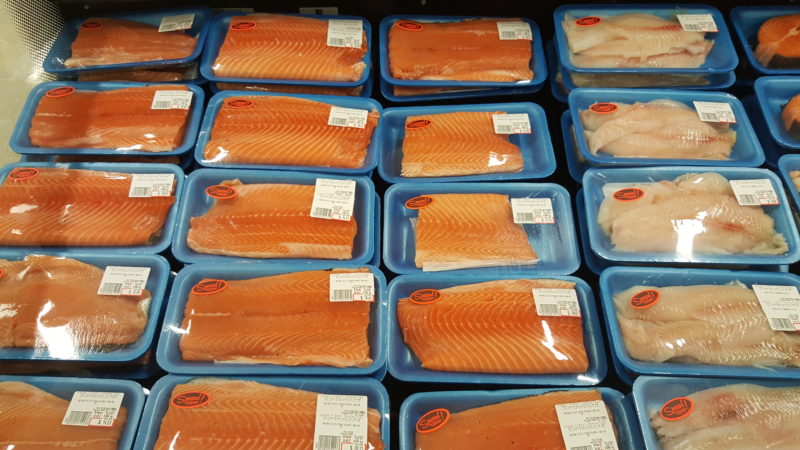 Atlantic salmon in trays