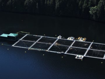 Photo: Kelly Roebuck, Aquaculture net pen BC