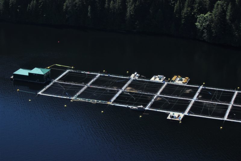 Photo: Kelly Roebuck, Aquaculture net pen BC