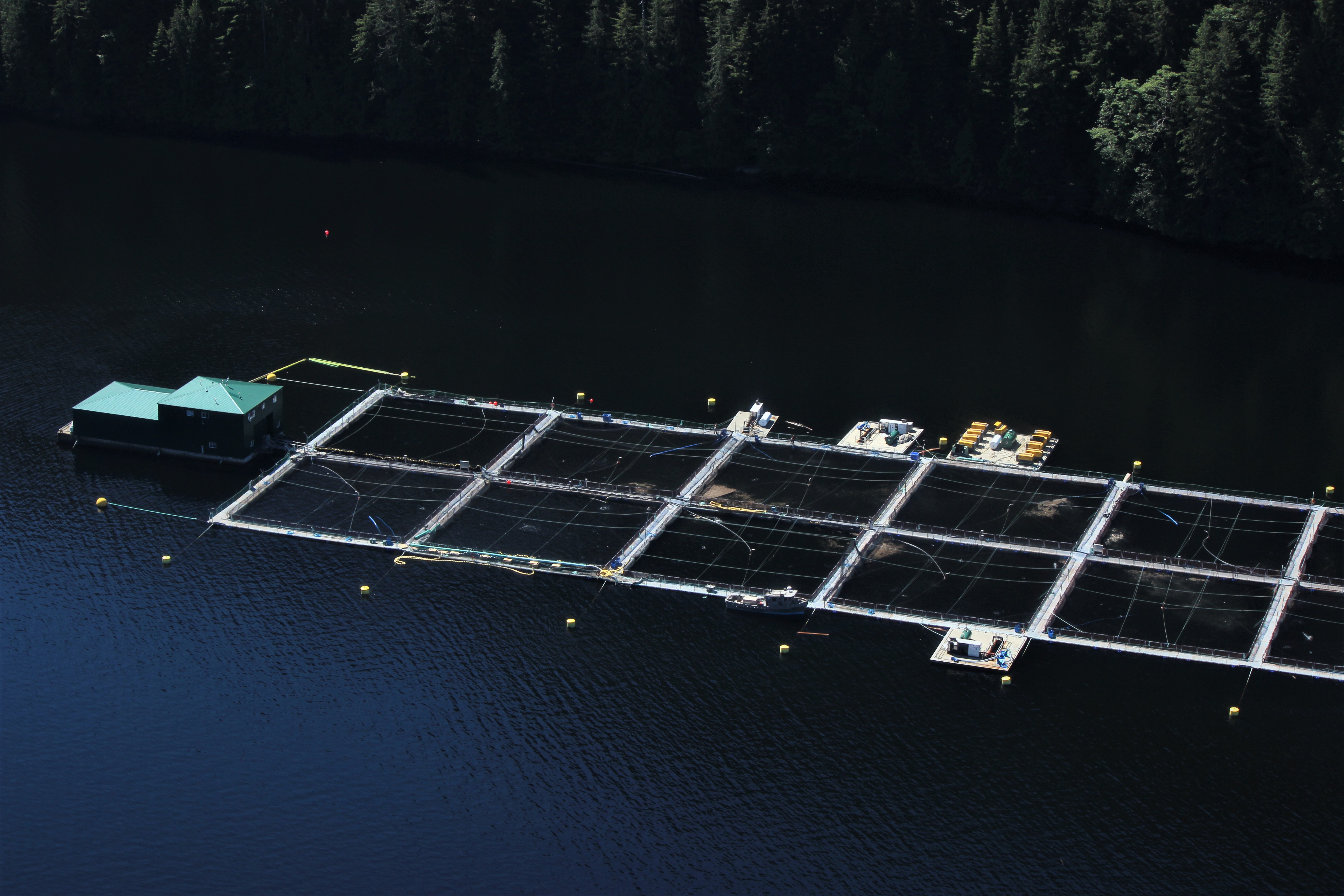 Aquaculture Netting