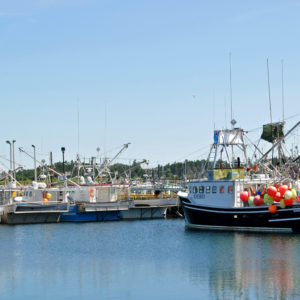 Photo: Dennis Jarvis, Swordfish fishing boats