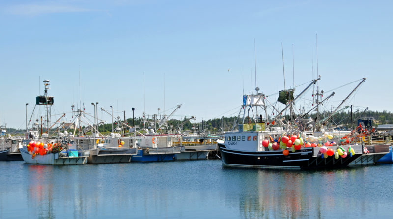 Photo: Dennis Jarvis, Swordfish fishing boats