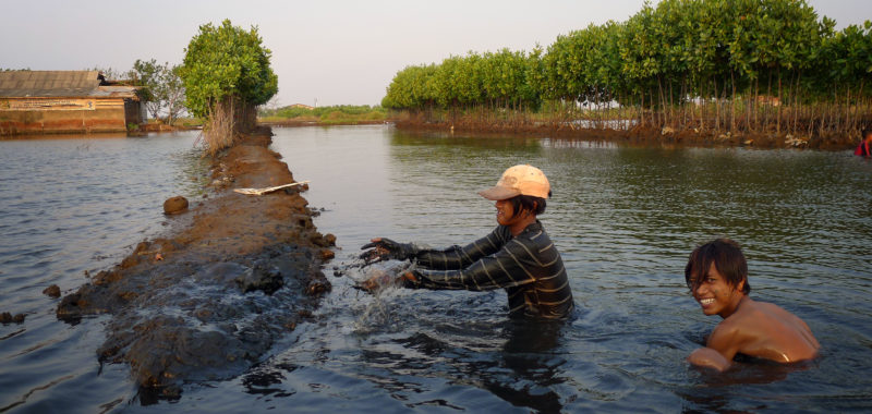 Photo: Construction of shrimp farm Pekalongan, Stephen Kennedy, via Wikimedia Commons