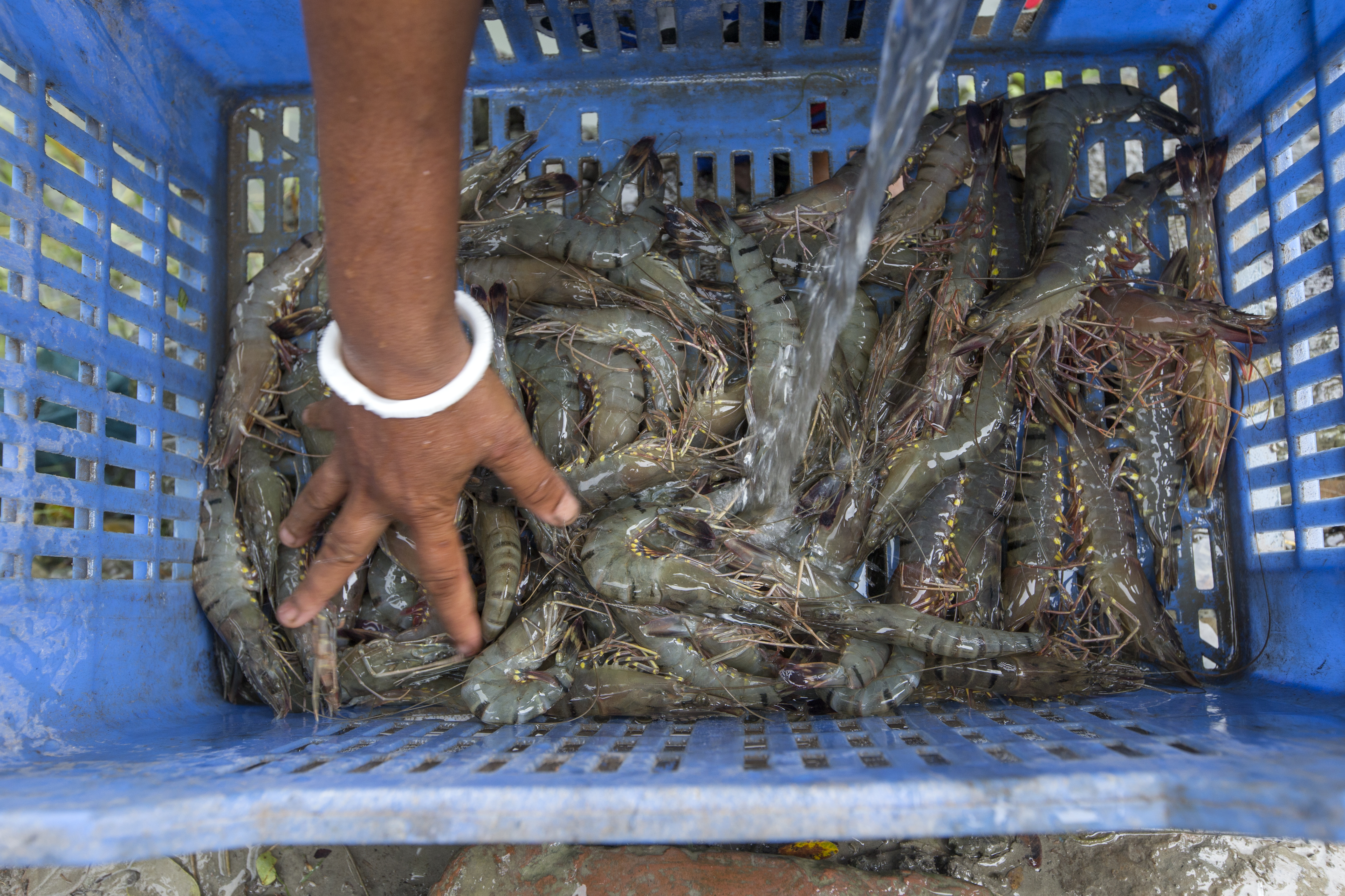 It matters where your seafood comes from, but you usually have no idea