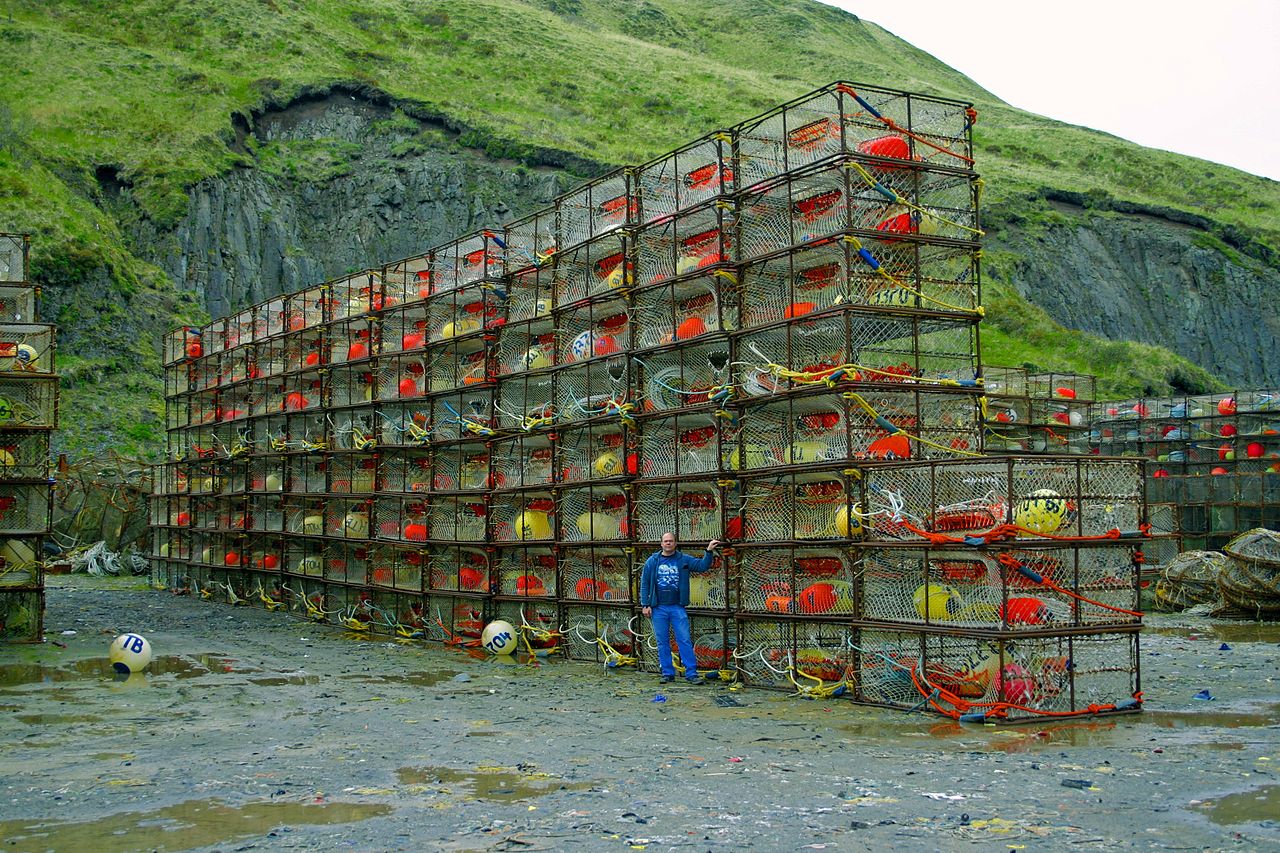 How Federated Co-op is growing its sustainable seafood program
