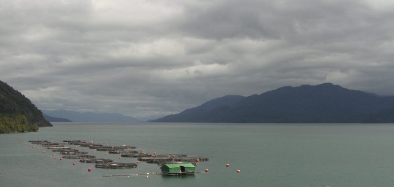 Chilean salmon farm