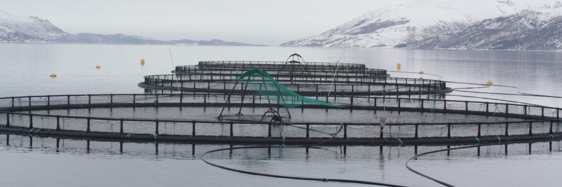 Norwegian salmon farm