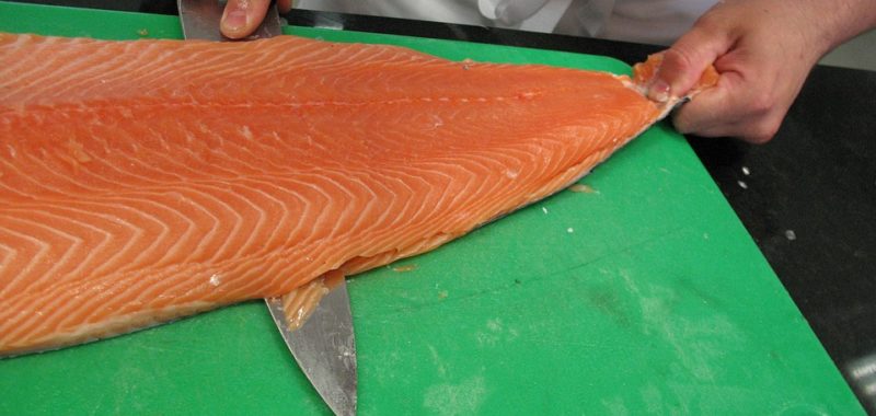 Farmed salmon filet