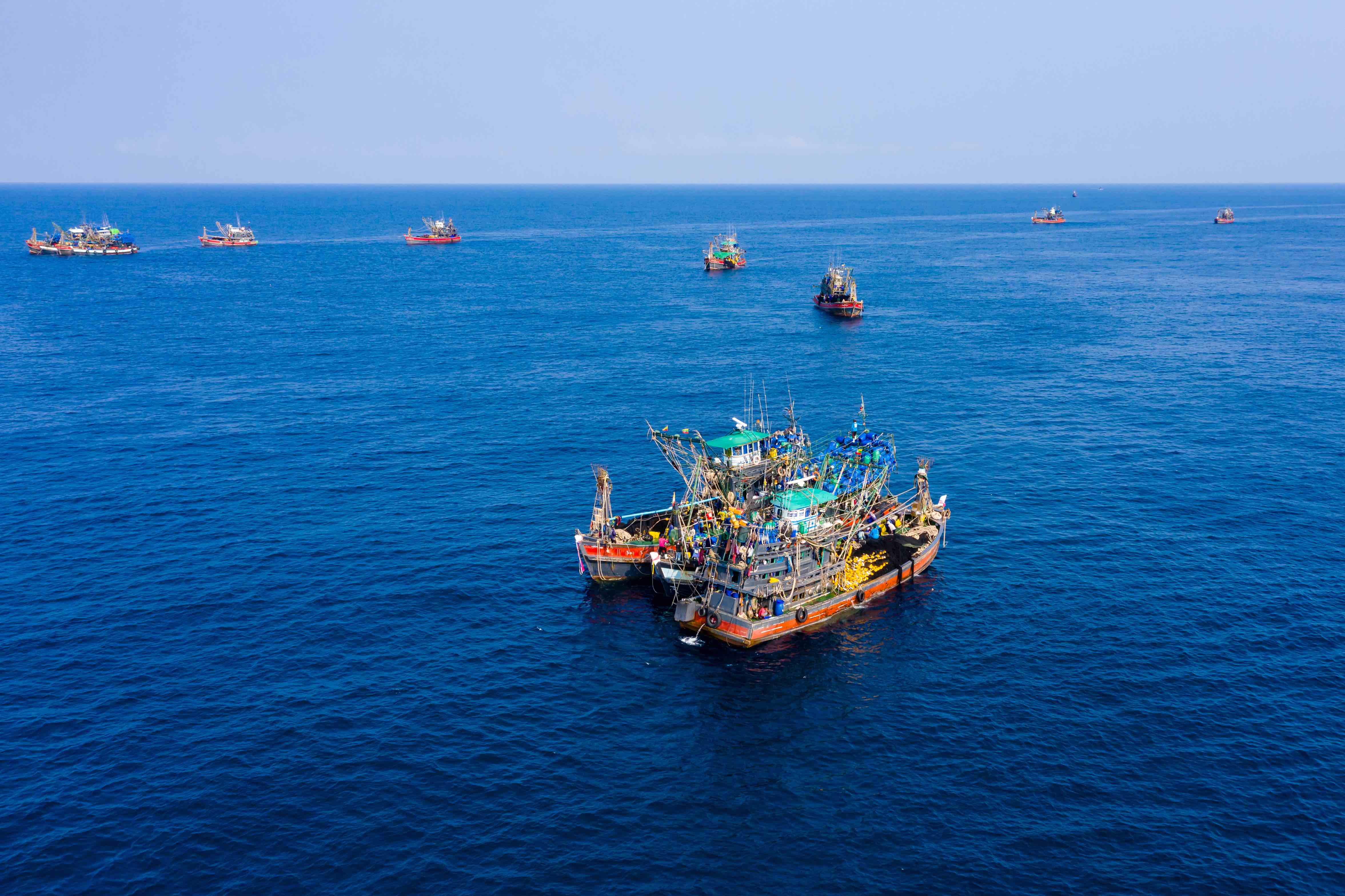 SeaChoice calls for end to harmful fisheries subsidies