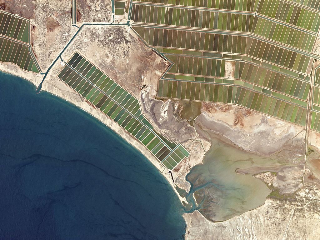 Seafood Progress Year 2 results – Step 6: Supports Improvements