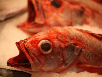 Fish for sale at Lonsdale Quay Market, Photo by Kyle Lawrence / CC BY-SA