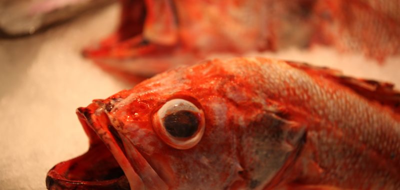 Fish for sale at Lonsdale Quay Market, Photo by Kyle Lawrence / CC BY-SA