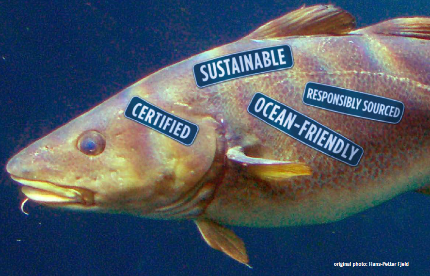 Is the seafood sold in Canada’s retailers immune to greenwashing? Fishy claims suggest no.