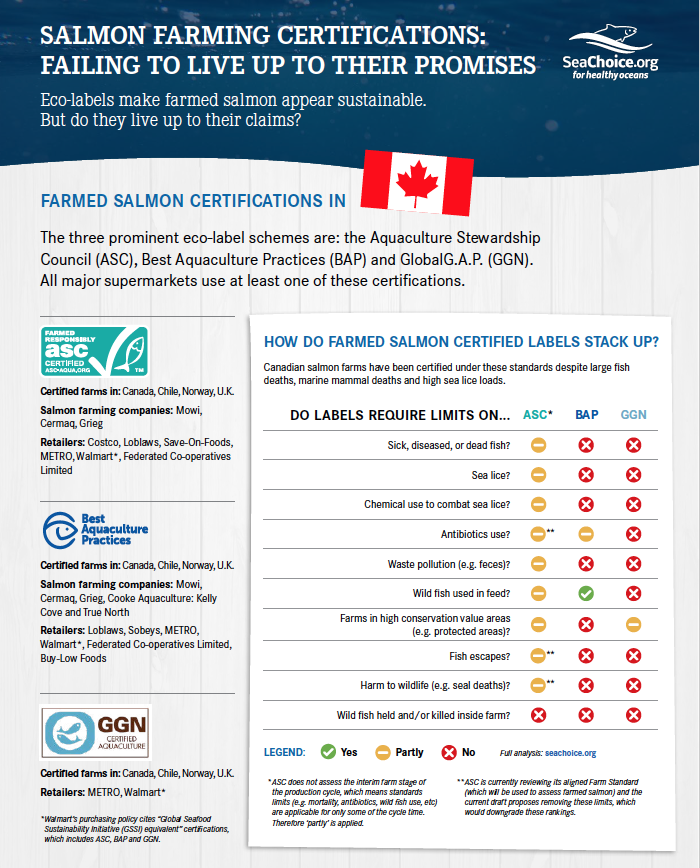 The Issue with open net pen fish farms - Wild First