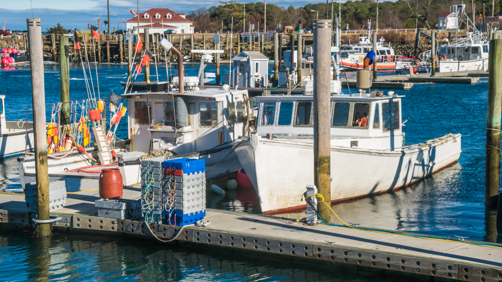 Seafood retailers, companies and experts call on the federal government to improve traceability requirements