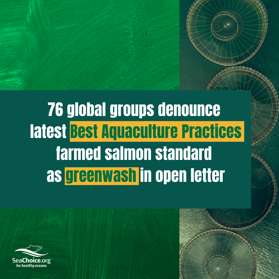 Global groups denounce latest Best Aquaculture Practices salmon farm standard as greenwash