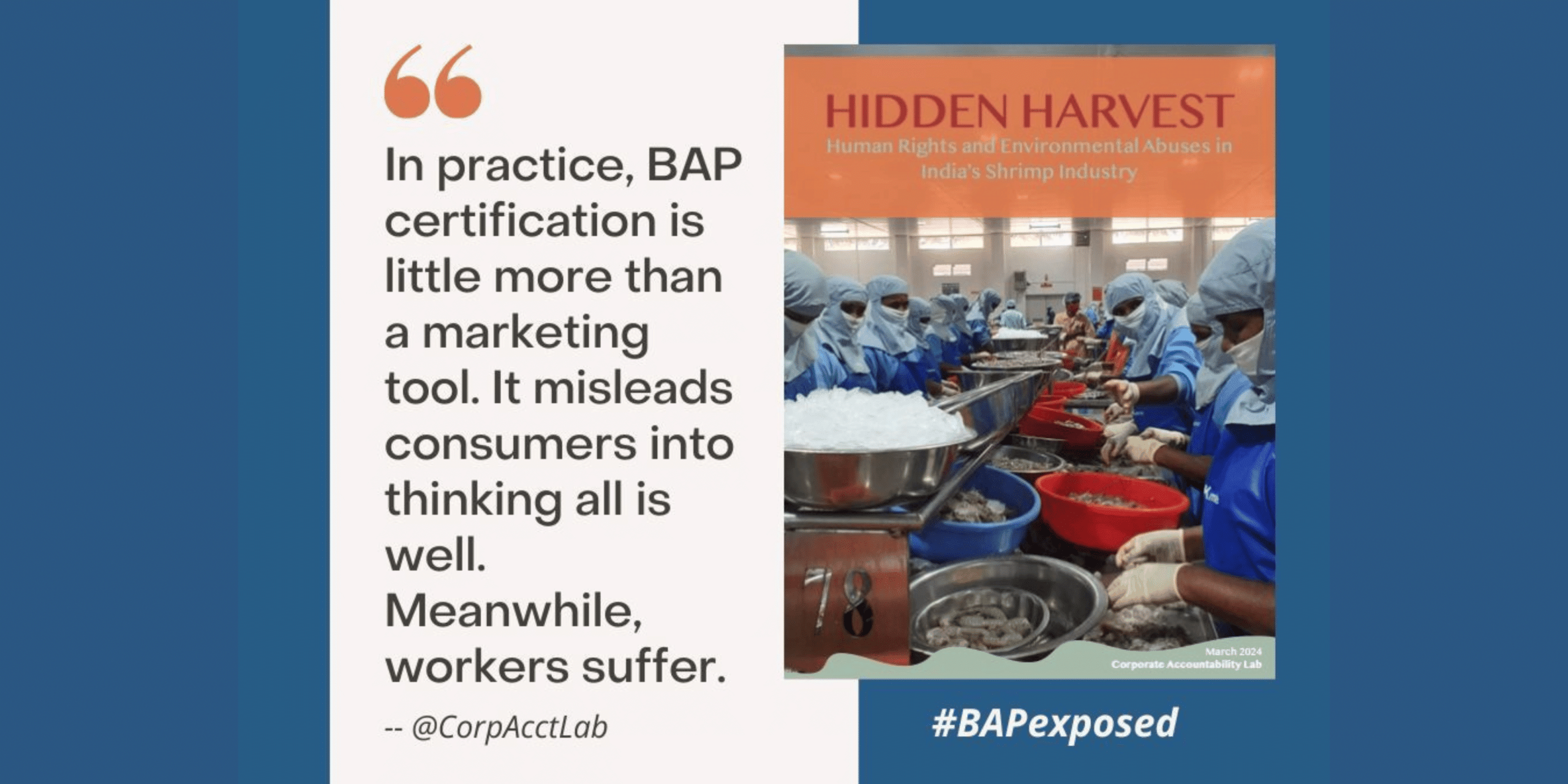 US Federal Trade Commission urged to investigate BAP certification