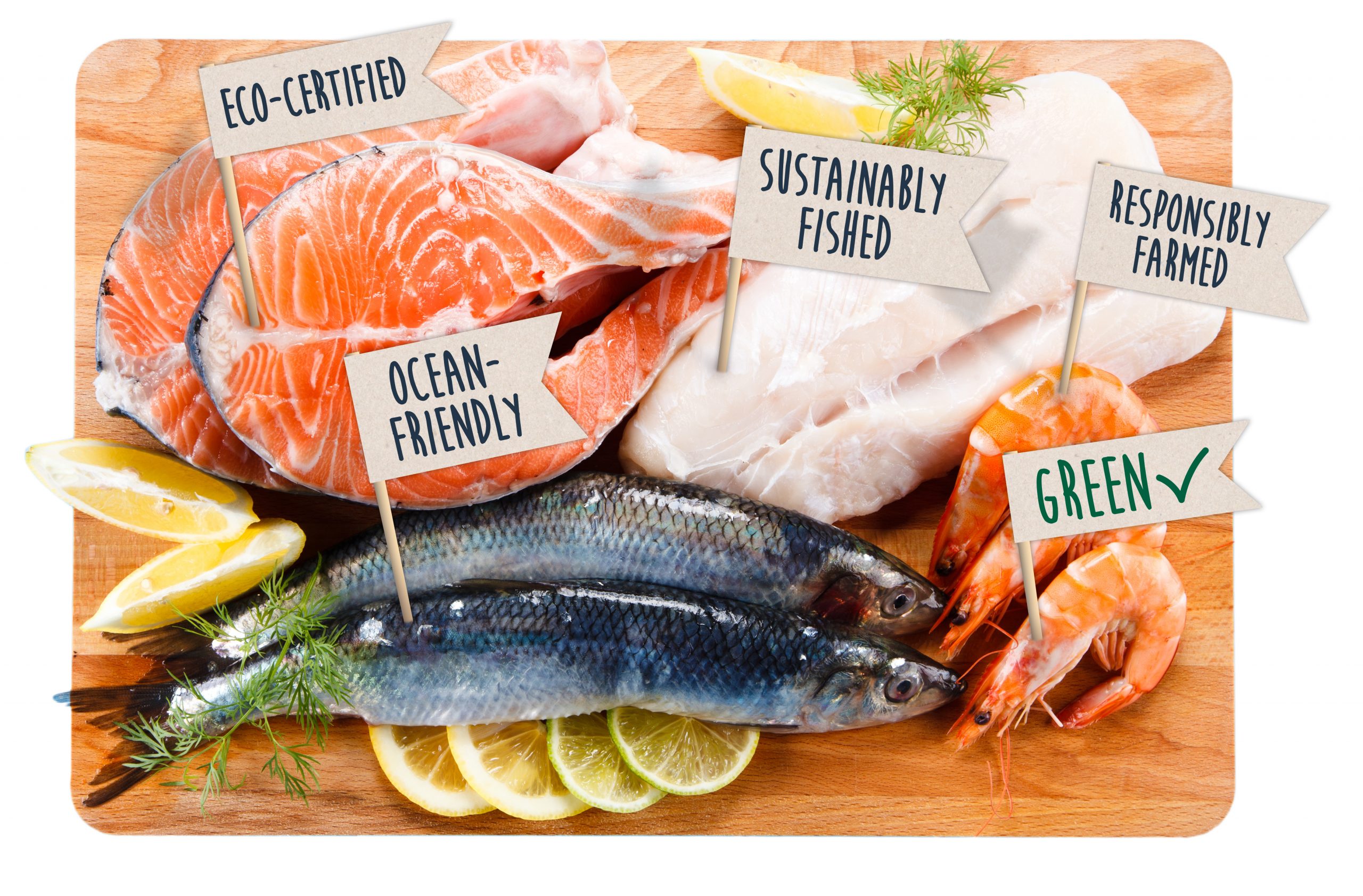SeaChoice calls for Canada to include misleading certification claims in greenwashing rules