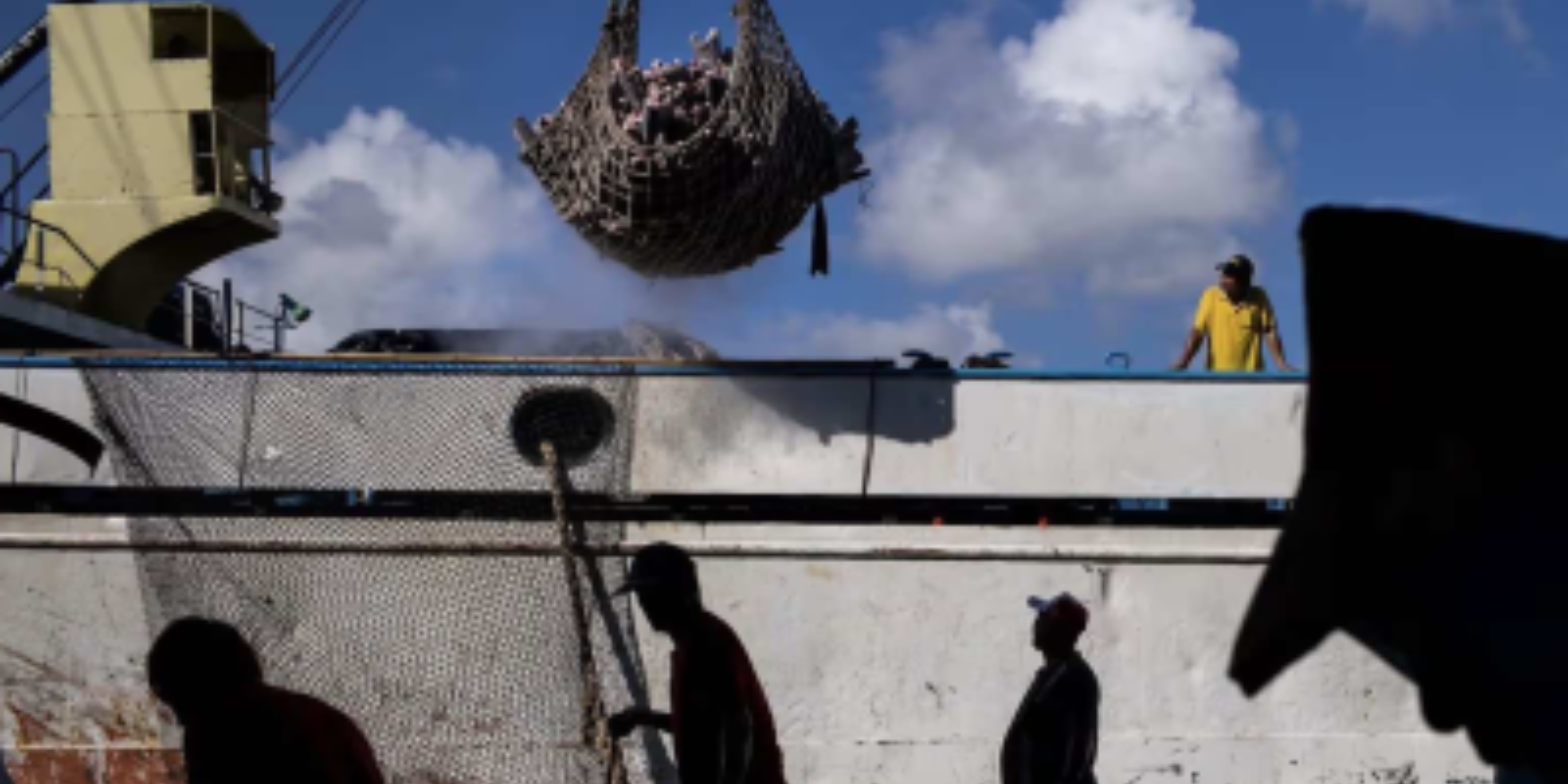 Seafood Labor Activists Demand MSC Acknowledge Its Role in Enabling Labor Abuse