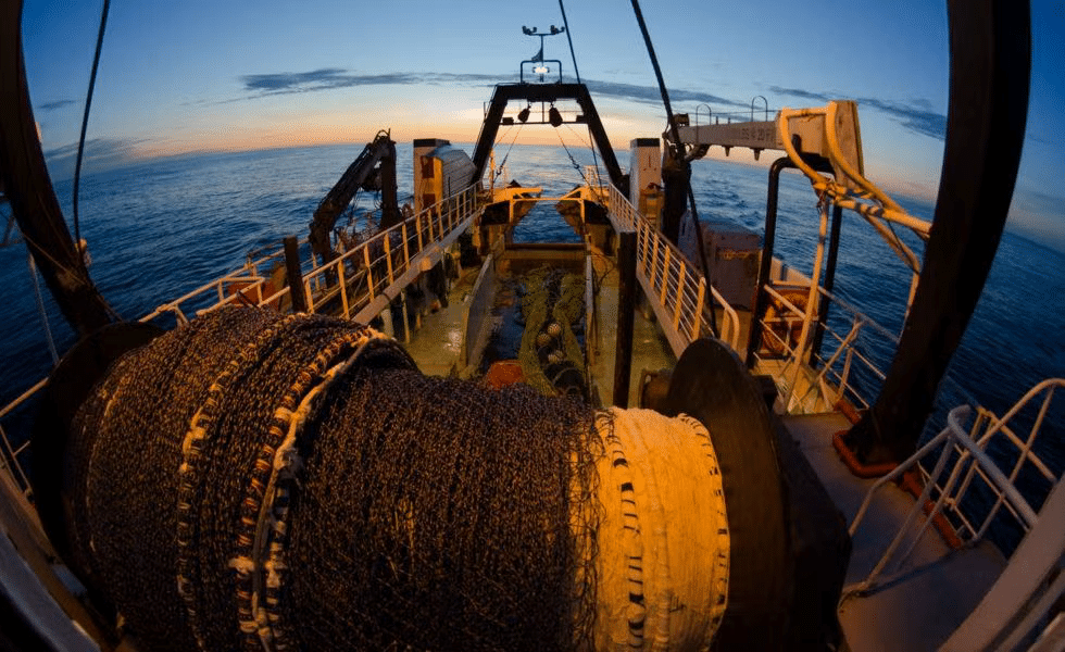 Bringing clarity and control to trawl fishery Chinook salmon bycatch