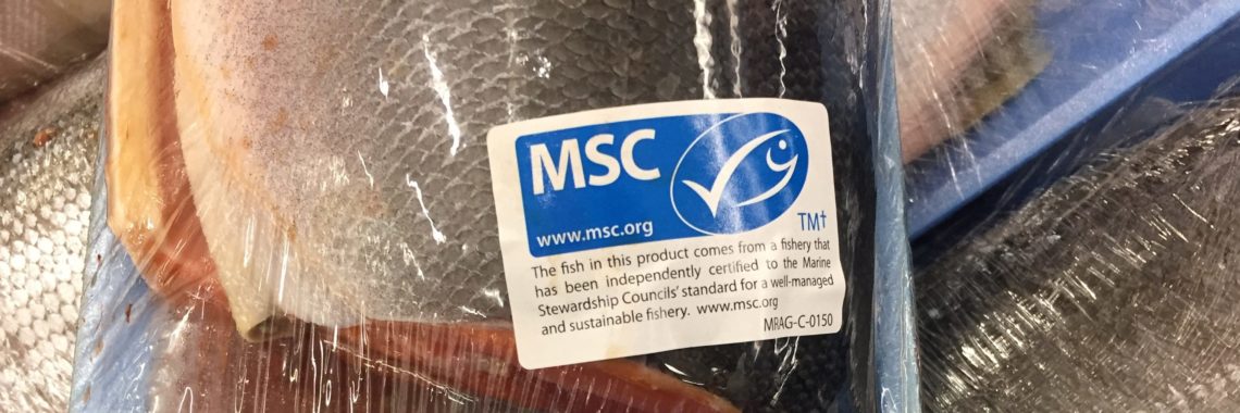 Seafood Working Group Letter to Companies on Addressing Forced Labour Risks in MSC-Certified Fisheries